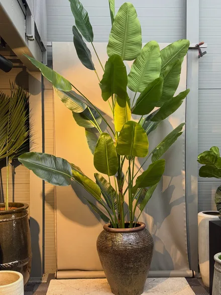 Mynd af Instagram-síðu Studio Bloom